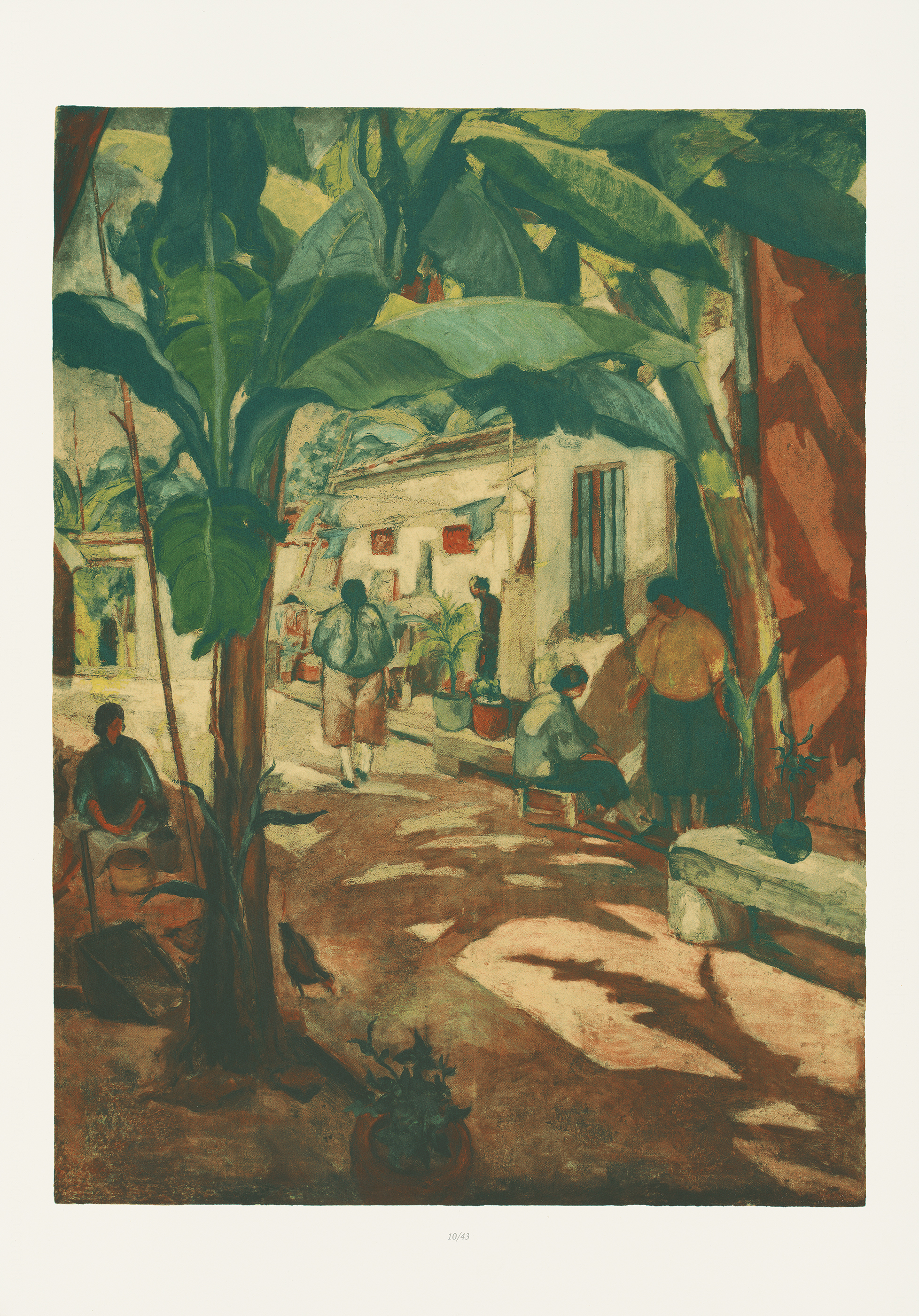 Plate 5