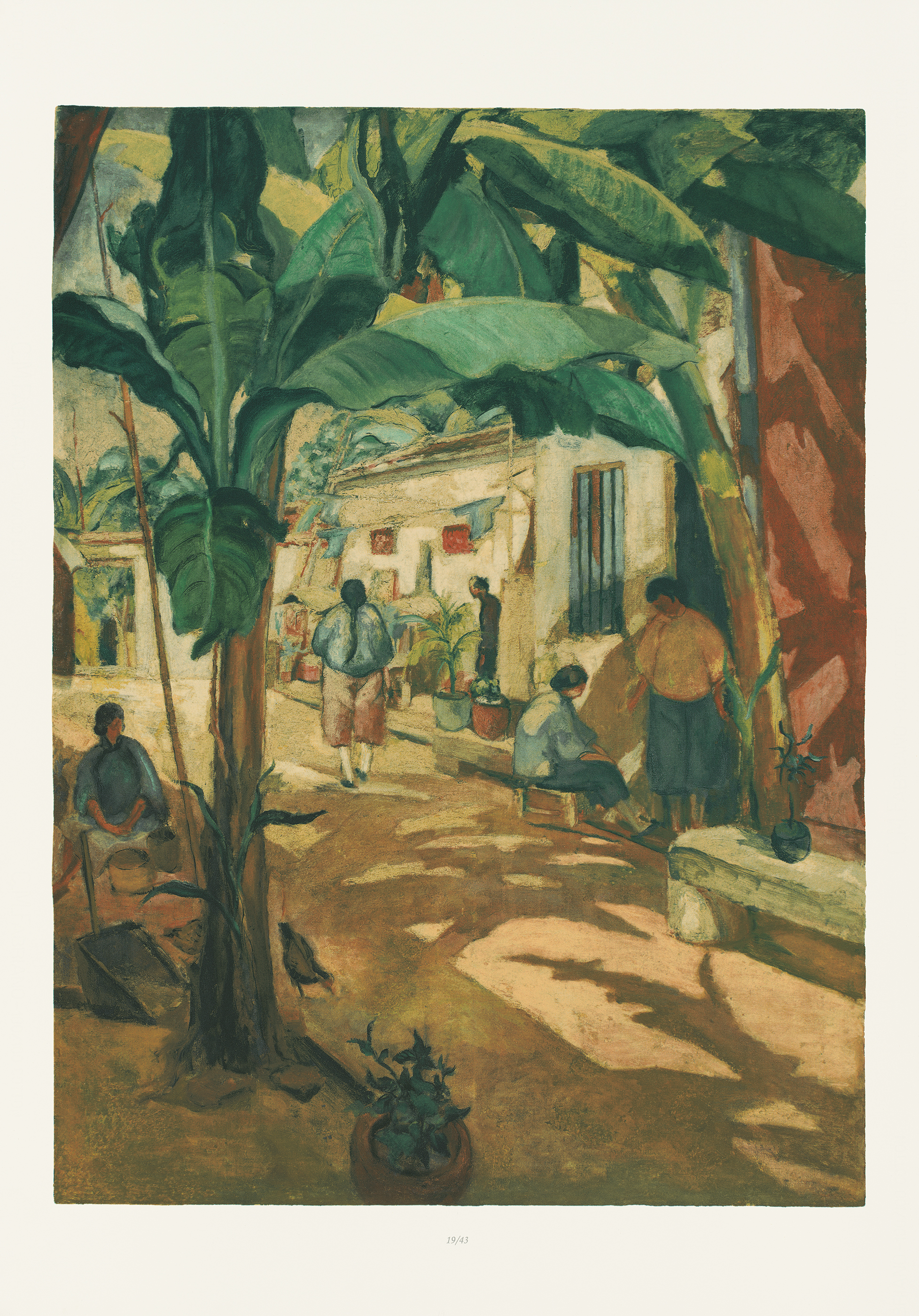 Plate 6
